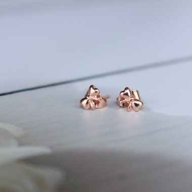 aretes pequeños